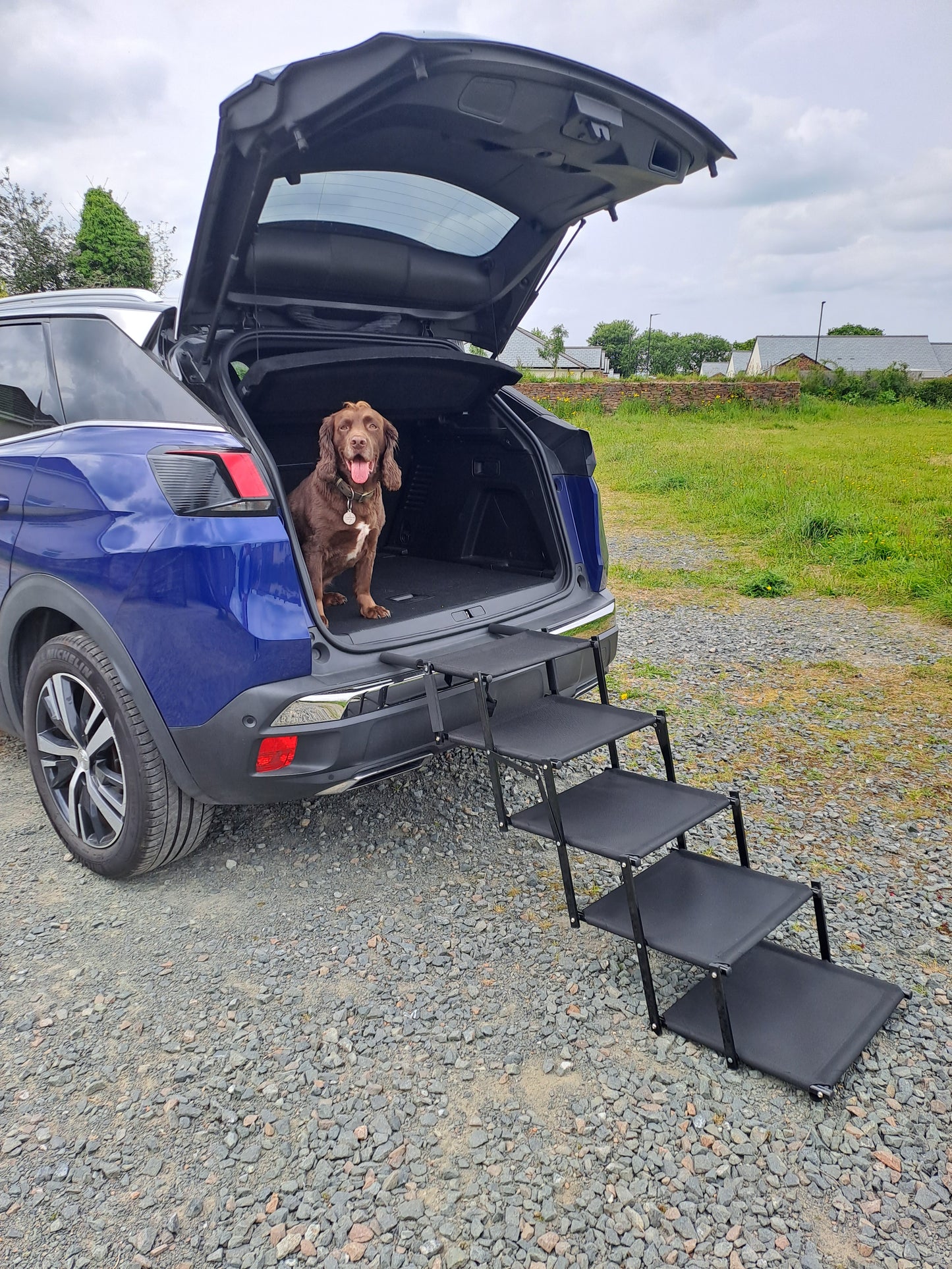 Pet Foldable 5 Step Stairs
