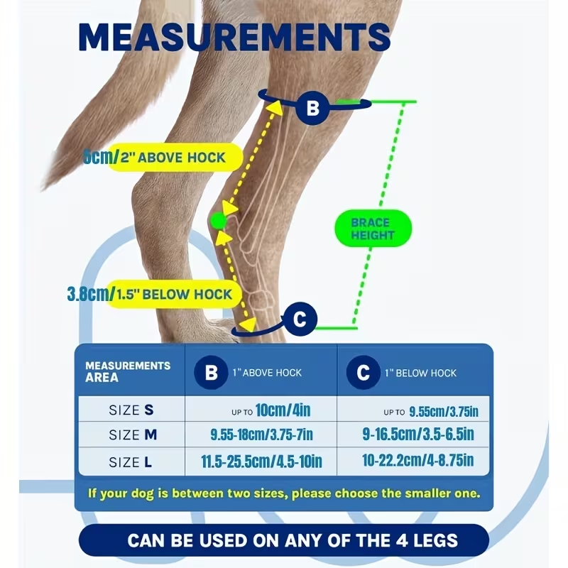 Knee Support