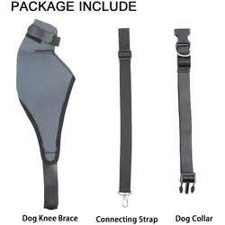 Dog Protective Hind Leg Joint Support