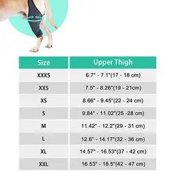 Dog Protective Hind Leg Joint Support