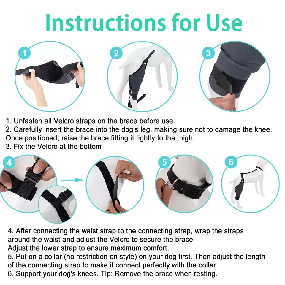 Dog Protective Hind Leg Joint Support