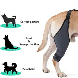 Dog Protective Hind Leg Joint Support