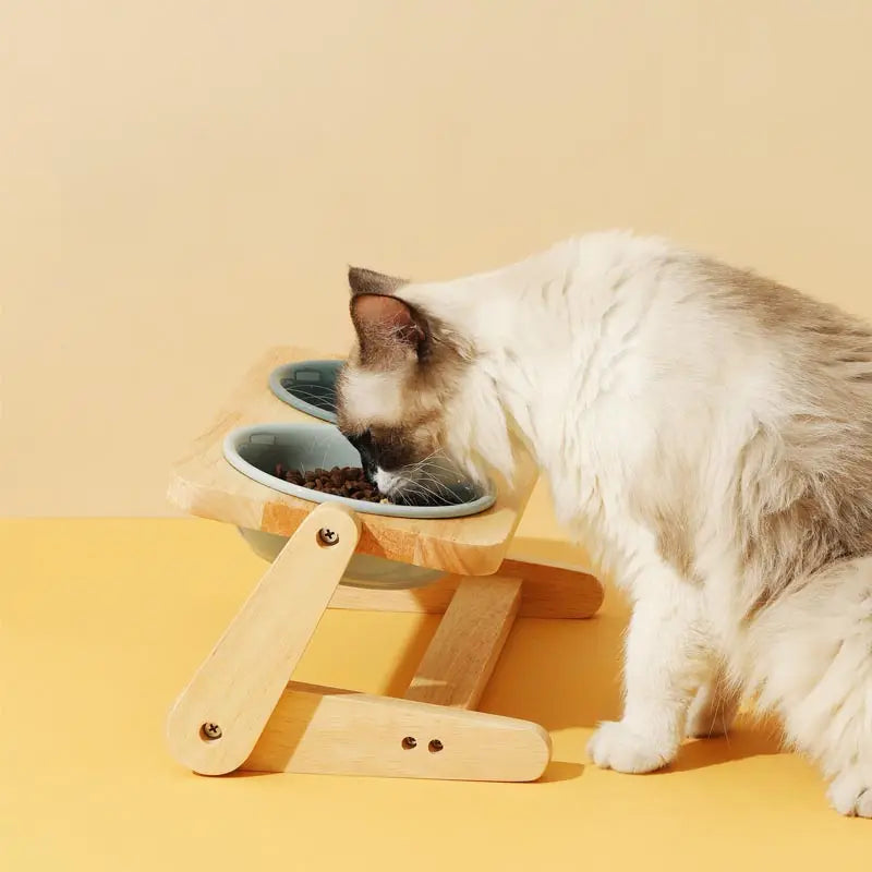 Pet Ceramic Dual Feeding Station