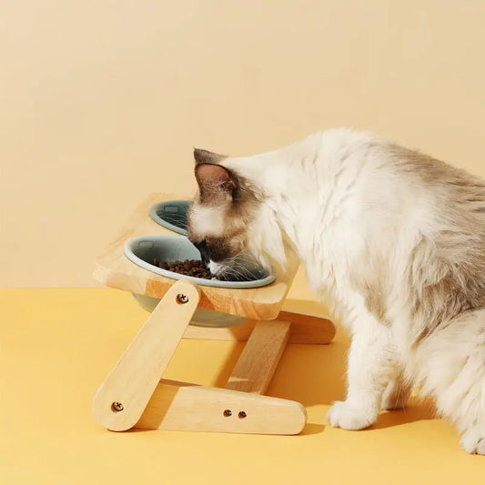 Pet Ceramic Dual Feeding Station