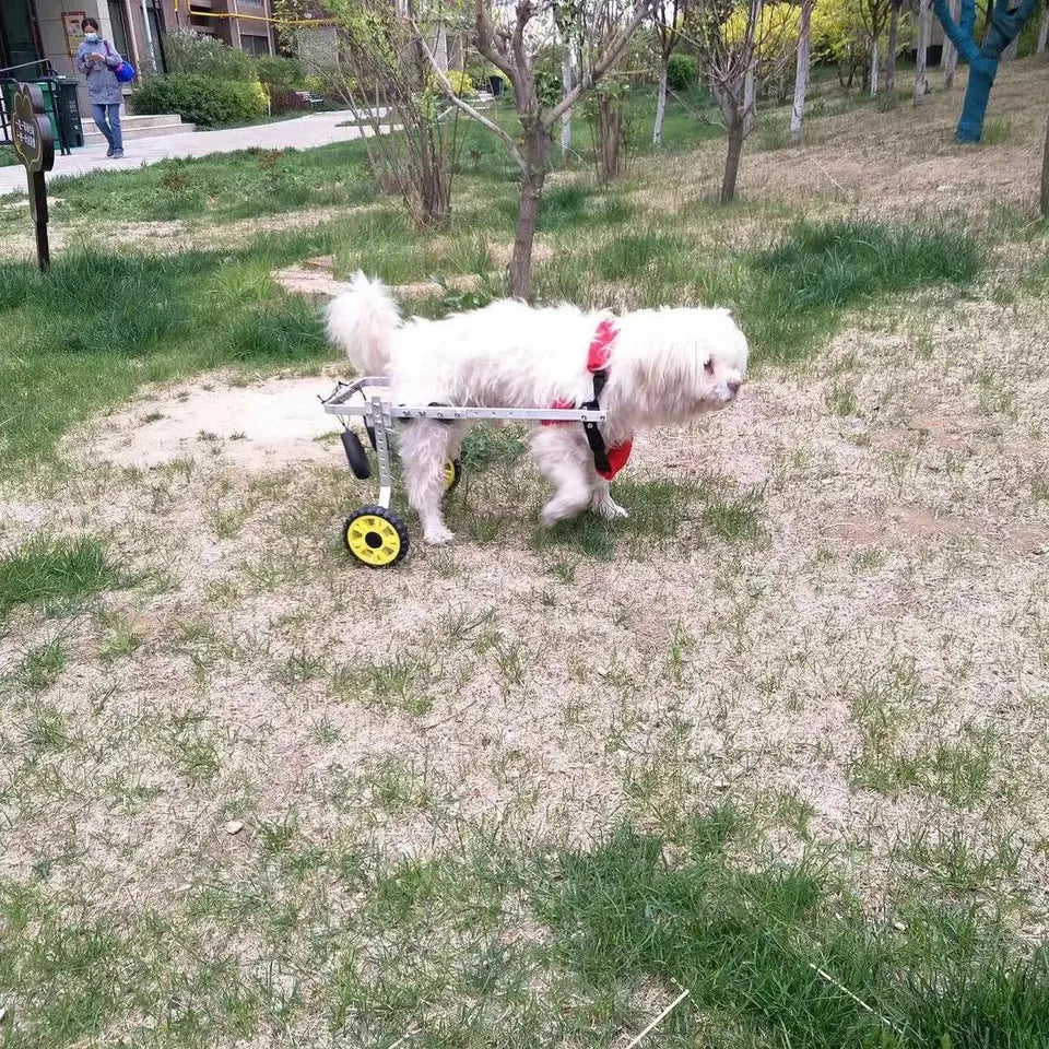 Pet Adjustable Rear Wheelchair REDUCED TO CLEAR