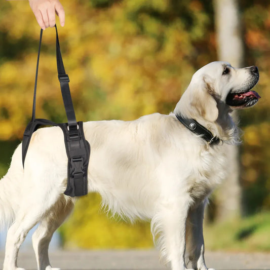 Pet Rear Hip Harness