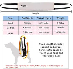 Pet Portable Lifting Sling