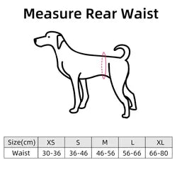 Washable Male Belly Bands 3pk