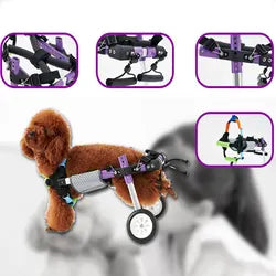 Pet Rear Wheelchair