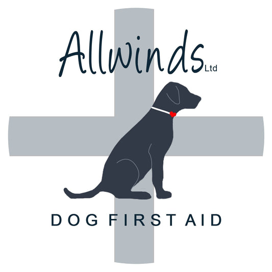 Dog First Aid