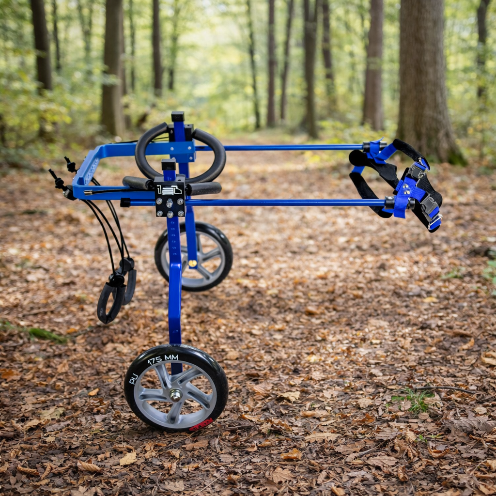 Pet Hedy Rear Wheelchair