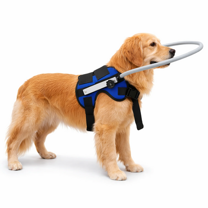 Pet Anti-Collision Halo
