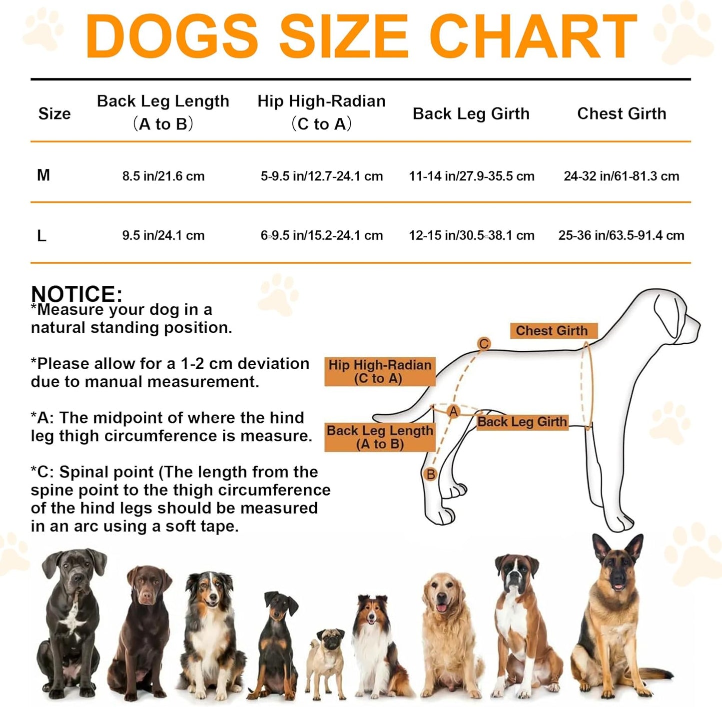 Adjustable Rear Knee Support Brace