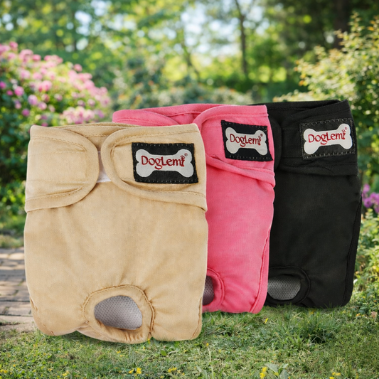 Pet Female Diaper 3pk