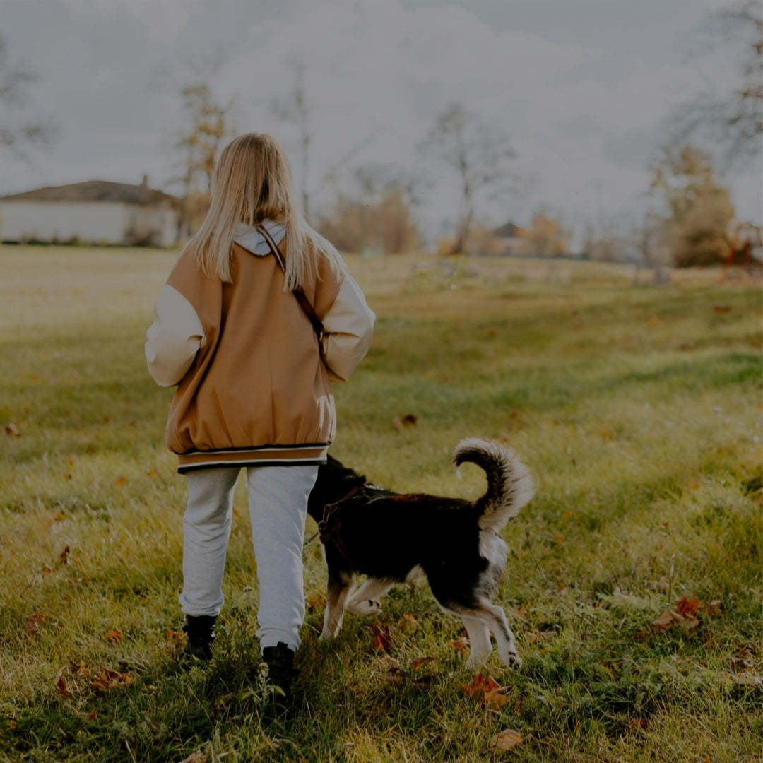 1 Hour Dog Walk
