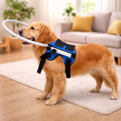 Pet Anti-Collision Halo