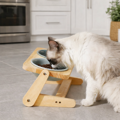 Pet Ceramic Dual Feeding Station