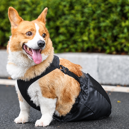 Drag Bag