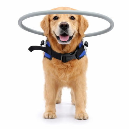Pet Anti-Collision Halo