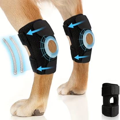 Knee Support
