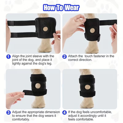 Knee Support