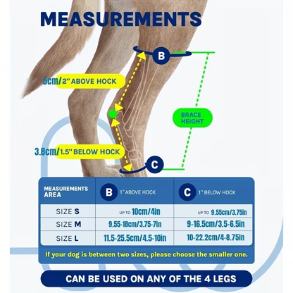 Knee Support