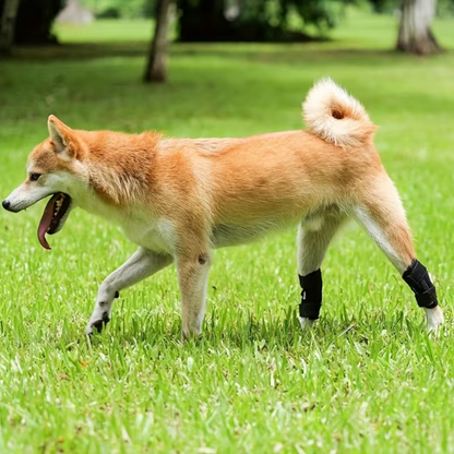 Knee Support