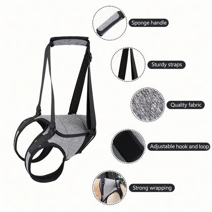 Rear Lift Harness