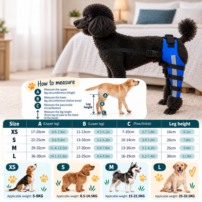 Pet Knee & Hip Support Leg Brace