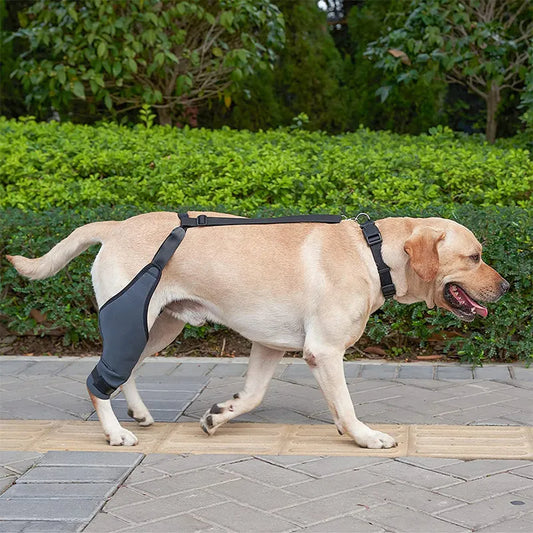 Dog Protective Hind Leg Joint Support