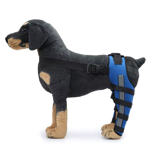 Pet Knee & Hip Support Leg Brace