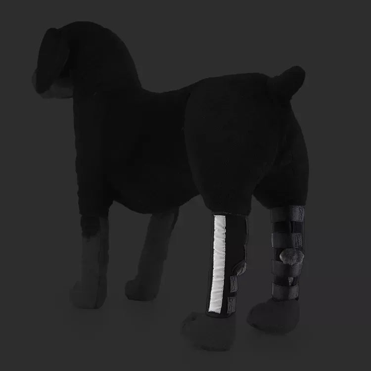 Pet Knee Support Sleeve