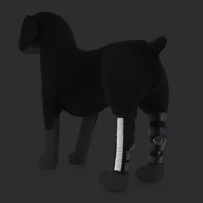 Pet Leg Support Sleeve