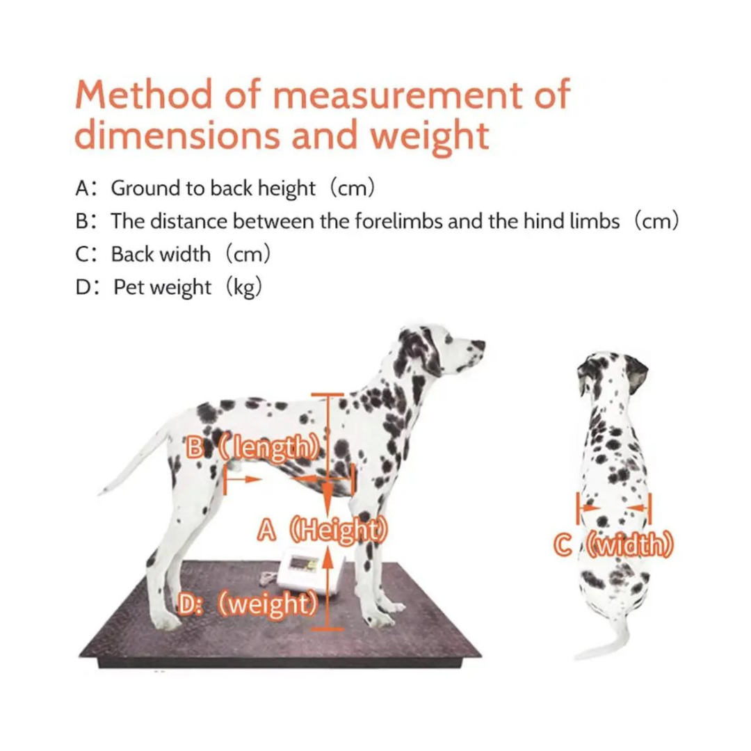 Pet Hedy Rear Wheelchair