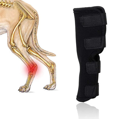 Dog Front & Hind Orthopaedic Hock Support
