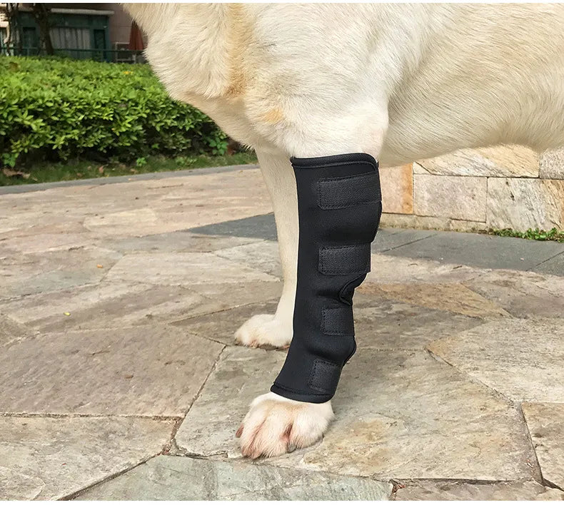 Dog Hind Orthopaedic Hock Support