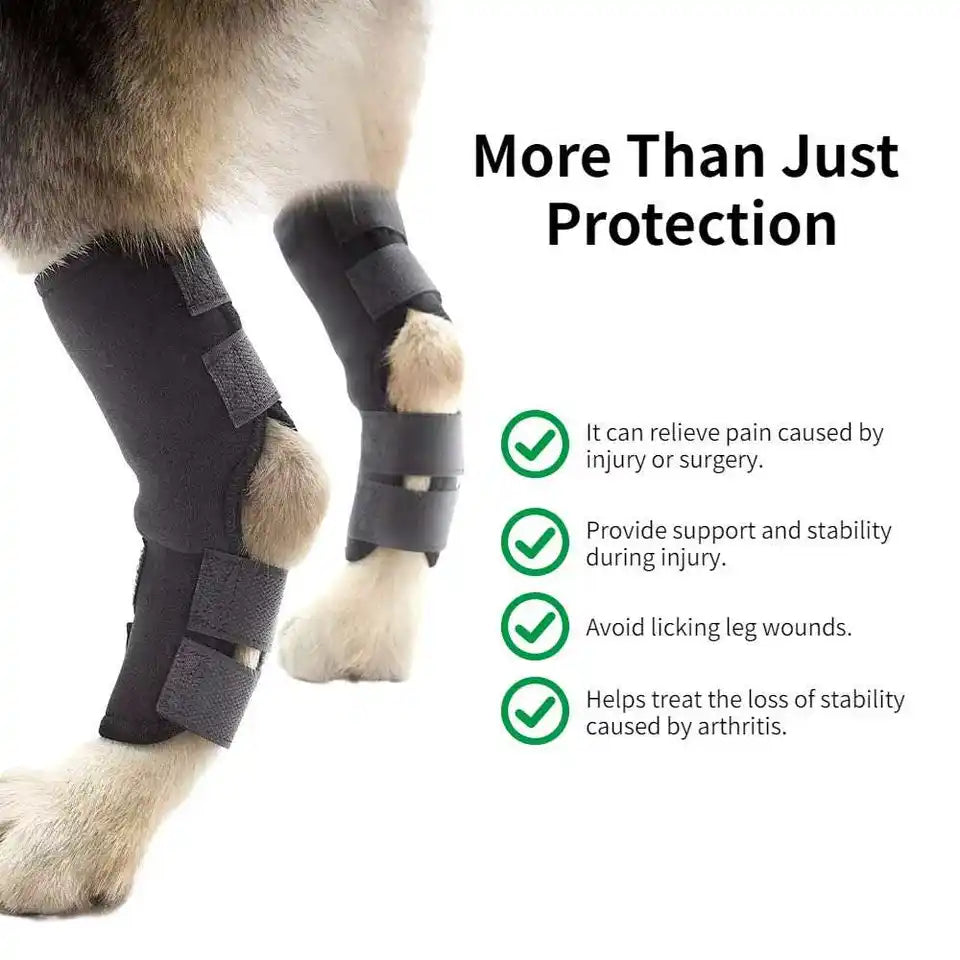 Dog Neoprene Rear Hock Support Brace