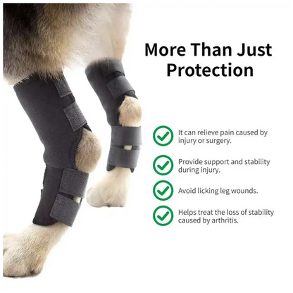 Dog Neoprene Rear Hock Support Brace