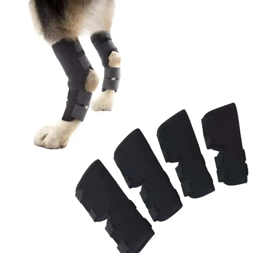 Dog Neoprene Rear Hock Support Brace